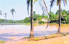 Varahi canal flooded near Kundapura